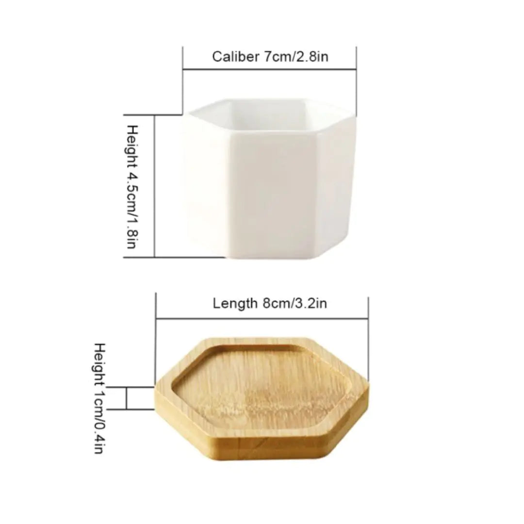 Succulent Small Planter Set of 3