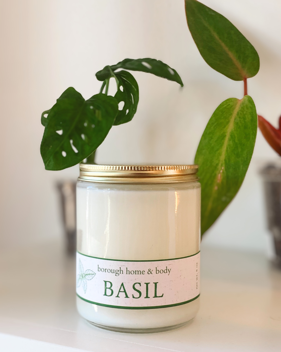 Basil Soft Spice Candle - Gold Lid - Soy Wax