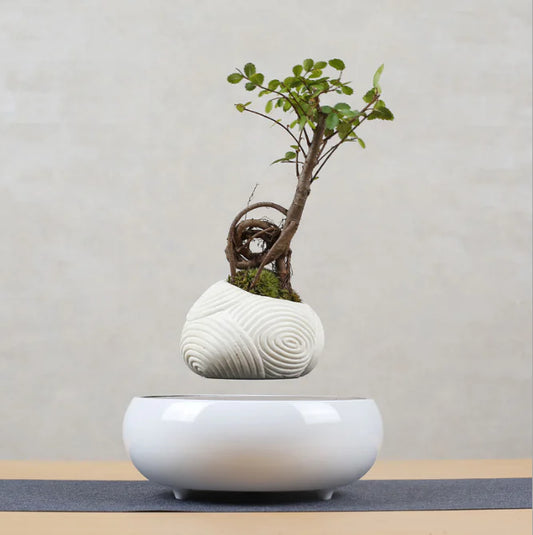 Floating Flower Pot for Home Decor
