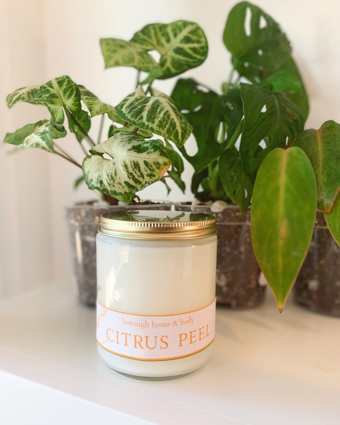 Citrus Peel Soy Wax Candle w/Gold Lid